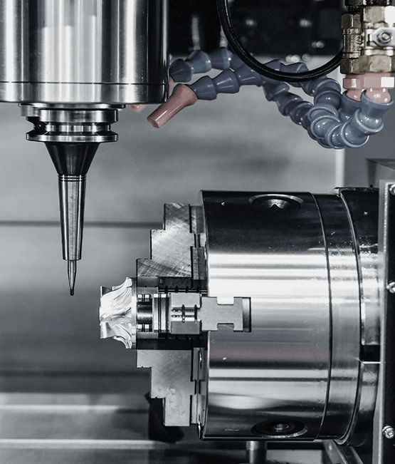 Dendrit Mentor - Rólunk