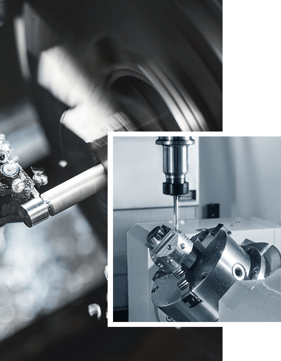 Dendrit Mentor szolgáltatások